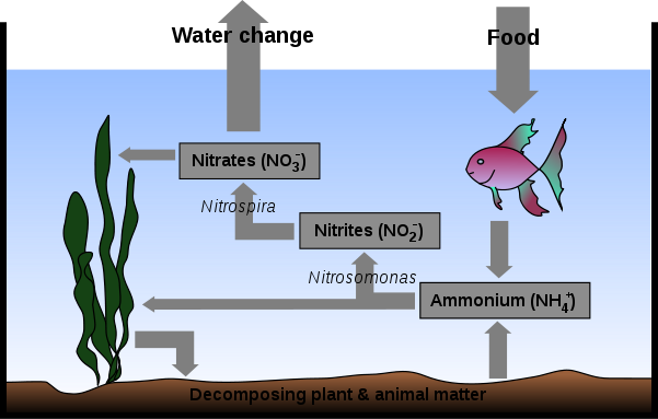 Aquarium Filters